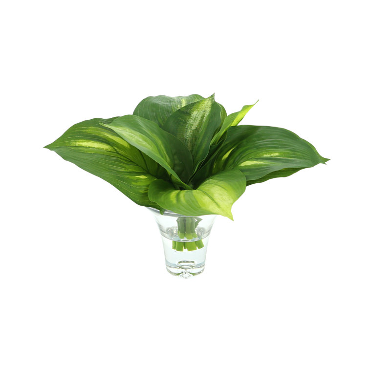 Creative Displays, Inc. Janousek Faux Plant in Glass Vase Perigold